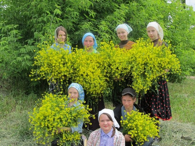 2-Подготовка к празднику прп. Евфросинии.jpg